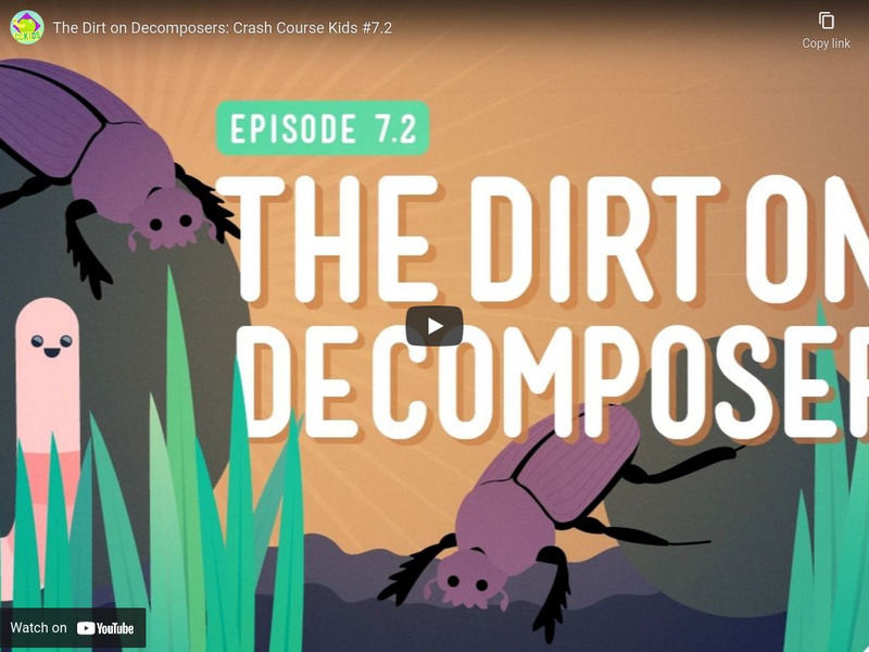 Crash Course Kids 7.2: The Dirt on Decomposers Instructional Video