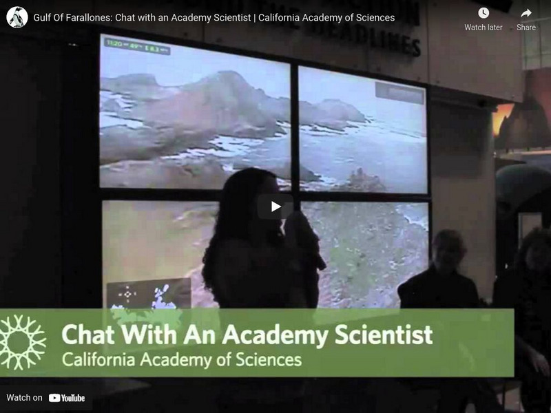Ca Academy of Sciences: Farallones: Chat With an Academy Scientist Instructional Video Ca Academy of Sciences: Farallones: Chat With an Academy Scientist Instructional Video