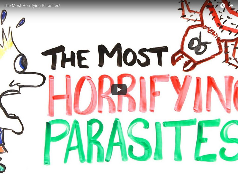 Asap Science: The Most Horrifying Parasites! Instructional Video