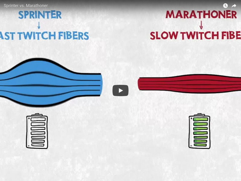See Qvideo: Sprinter vs. Marathoner (You Tube) Instructional Video