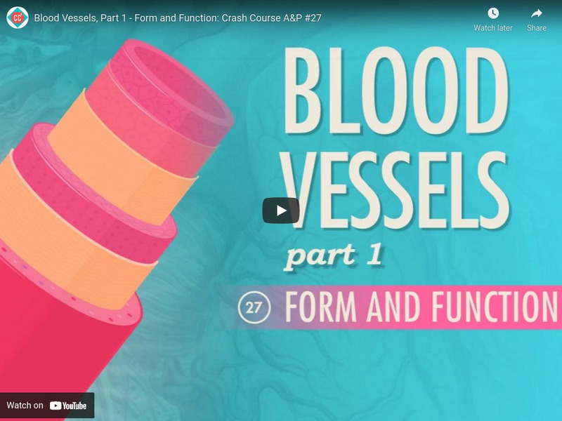 Crash Course A&p #27: Blood Vessels, Part 1 Form and Function Instructional Video