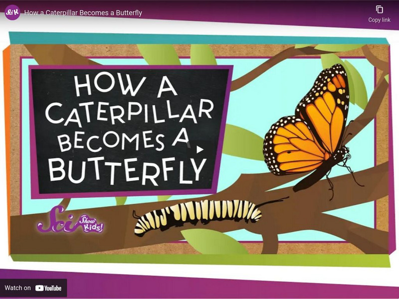 Sci Show Kids: How a Caterpillar Becomes a Butterfly Instructional Video Sci Show Kids: How a Caterpillar Becomes a Butterfly Instructional Video