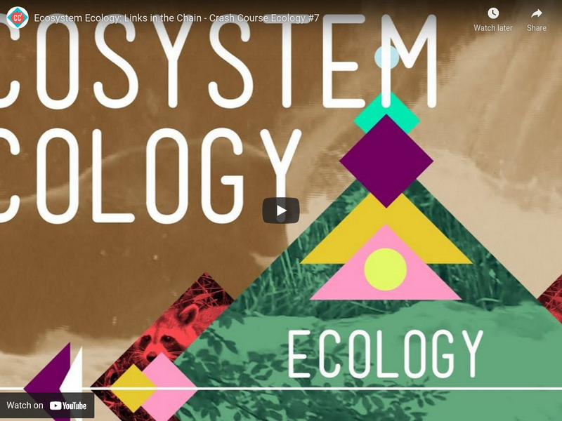 Crash Course Ecology #7: Ecosystem Ecology Links in the Chain Instructional Video Crash Course Ecology #7: Ecosystem Ecology Links in the Chain Instructional Video