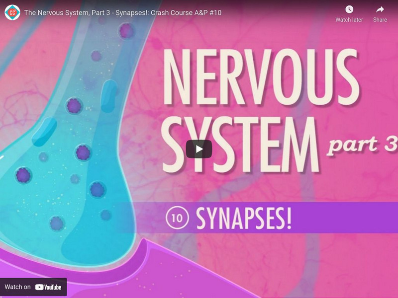 Crash Course A&p #10: The Nervous System Part 2 Synapses! Instructional Video Crash Course A&p #10: The Nervous System Part 2 Synapses! Instructional Video