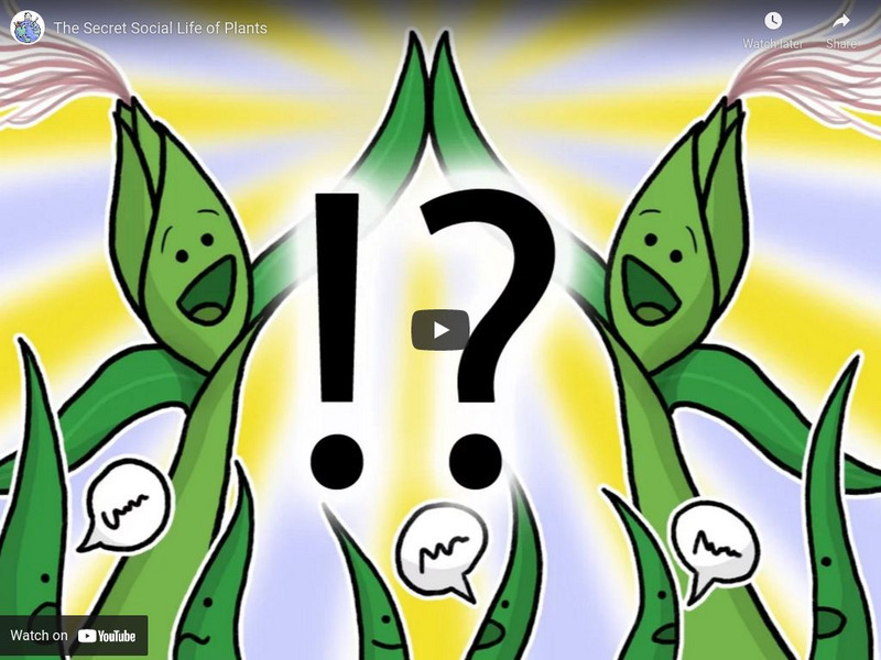 Minute Earth: The Secret Social Life of Plants Instructional Video Minute Earth: The Secret Social Life of Plants Instructional Video