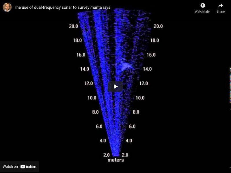 You Tube: Mc Cauley Lab: Use of Dual Frequency Sonar to Survey Manta Rays Instructional Video You Tube: Mc Cauley Lab: Use of Dual Frequency Sonar to Survey Manta Rays Instructional Video
