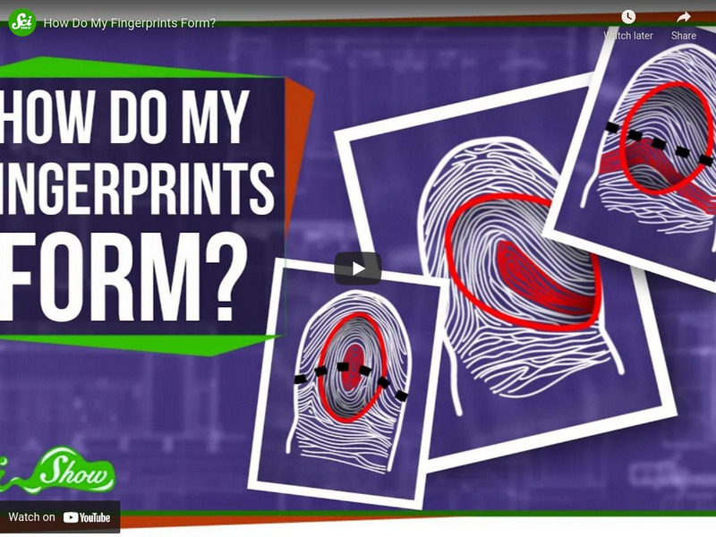 Sci Show: How Do My Fingerprints Form? Instructional Video