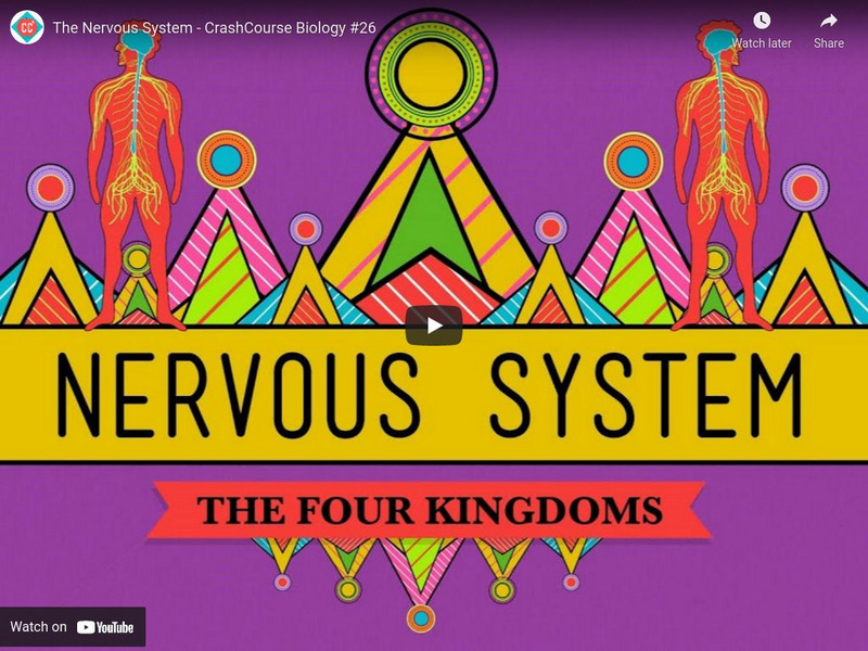 Crash Course Biology #26: The Nervous System Instructional Video Crash Course Biology #26: The Nervous System Instructional Video