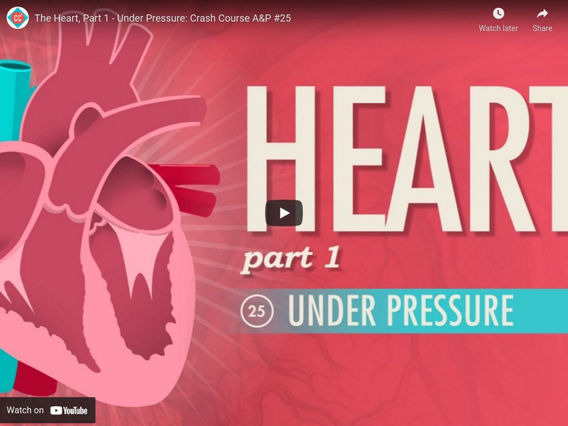 Crash Course A&p #25: The Heart, Part 1 Under Pressure Instructional Video Crash Course A&p #25: The Heart, Part 1 Under Pressure Instructional Video