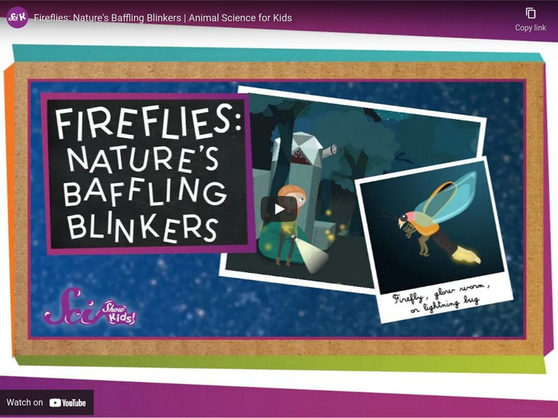 Sci Show Kids: Fireflies: Nature's Baffling Blinkers Instructional Video Sci Show Kids: Fireflies: Nature's Baffling Blinkers Instructional Video