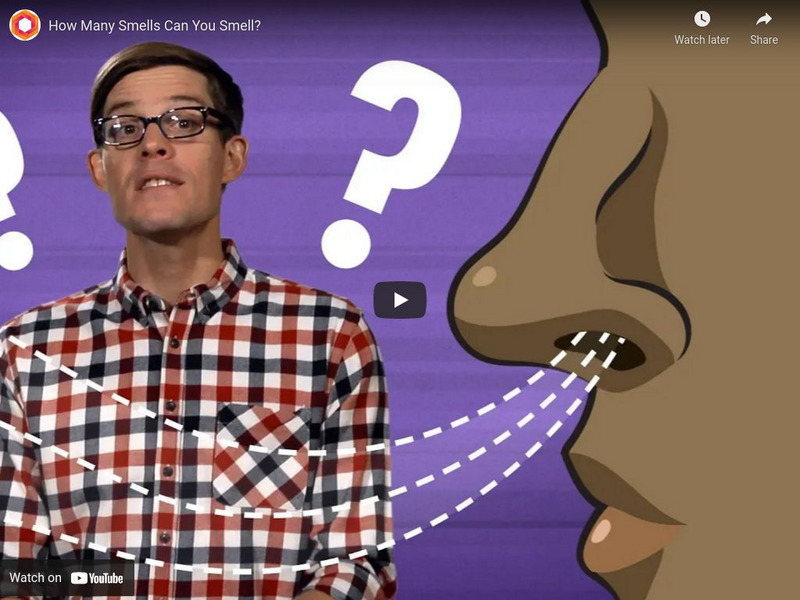Pbs: How Many Smells Can You Smell? Instructional Video Pbs: How Many Smells Can You Smell? Instructional Video