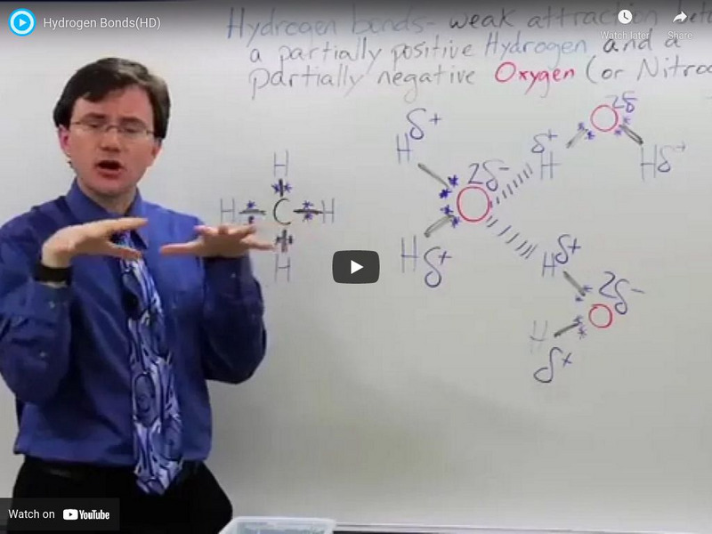 Brightstorm: Hydrogen Bonds Instructional Video