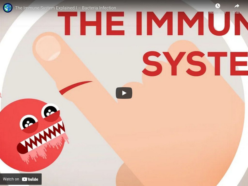 You Tube: Kurzgesagt: Why You Are Still Alive the Immune System Instructional Video