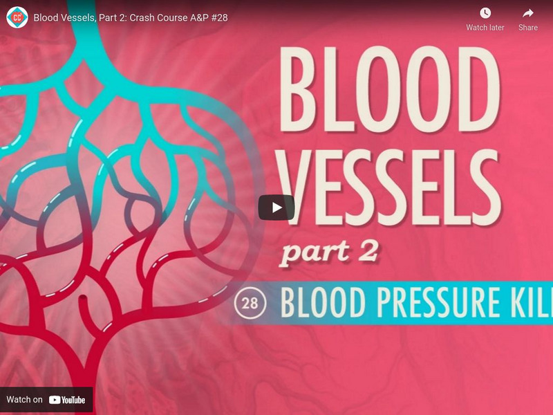 Crash Course A&p #28: Blood Vessels, Part 2 Instructional Video