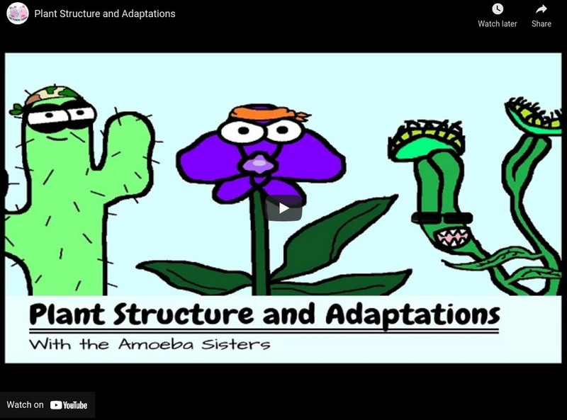 Amoeba Sisters: Plant Structure and Adaptation Instructional Video Amoeba Sisters: Plant Structure and Adaptation Instructional Video