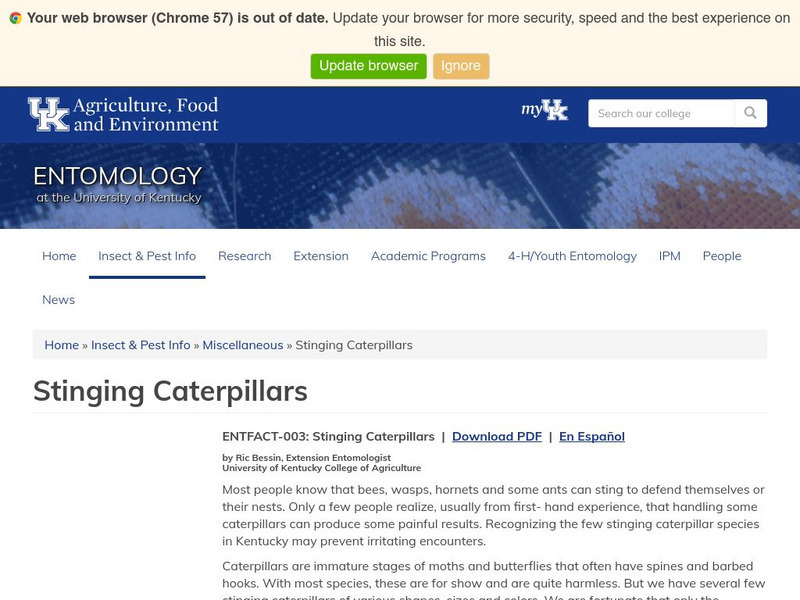 Uk Entomology: Stinging Caterpillars Handout Uk Entomology: Stinging Caterpillars Handout