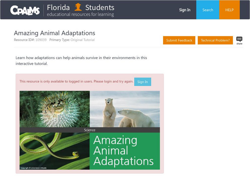 Florida State University Cpalms: Florida Students: Amazing Animal Adaptations Unit Plan Florida State University Cpalms: Florida Students: Amazing Animal Adaptations Unit Plan