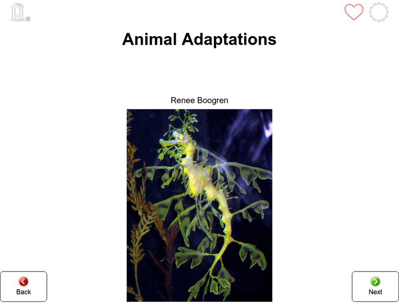 Tar Heel Reeder: Animal Adaptations eBook