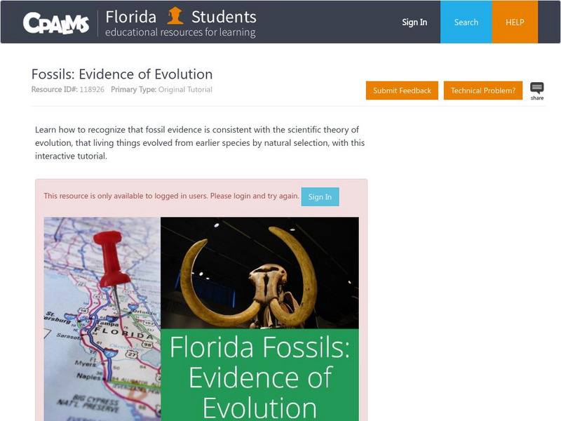 Florida State University Cpalms: Florida Students: Florida Fossils: Evidence of Evolution Unit Plan Florida State University Cpalms: Florida Students: Florida Fossils: Evidence of Evolution Unit Plan