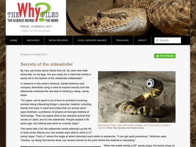The Why Files: Secrets of the Sidewinder Article The Why Files: Secrets of the Sidewinder Article