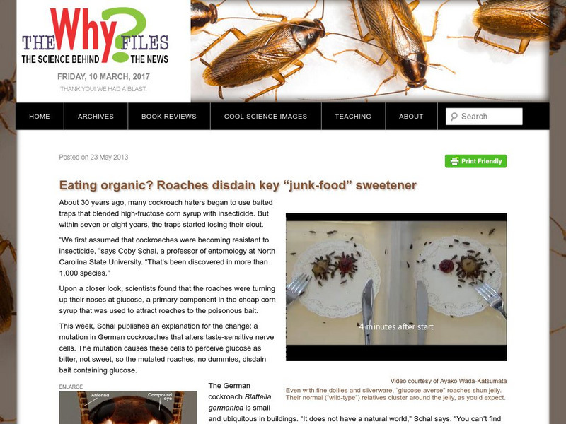 The Why Files: Eating Organic? Roaches Disdain Key "Junk Food" Sweetener Article