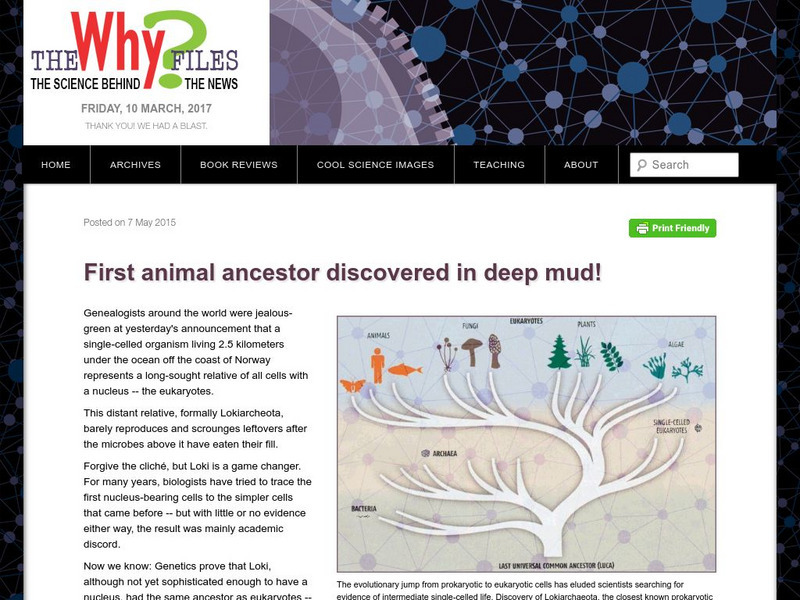 The Why Files: First Animal Ancestor Discovered in Deep Mud Article The Why Files: First Animal Ancestor Discovered in Deep Mud Article