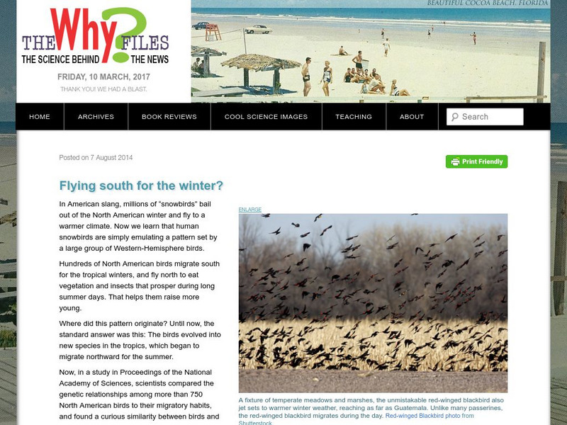 The Why Files: Flying South for the Winter? Article The Why Files: Flying South for the Winter? Article