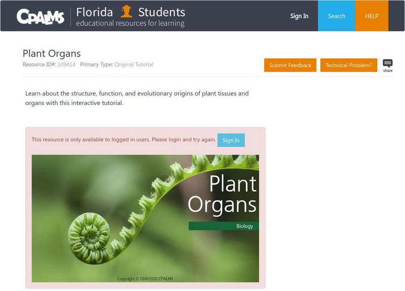 Florida State University Cpalms: Florida Students: Plant Organs Handout Florida State University Cpalms: Florida Students: Plant Organs Handout