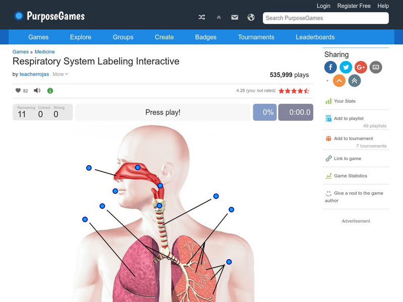 Purpose Games: Respiratory System Labeling Interactive Interactive Purpose Games: Respiratory System Labeling Interactive Interactive