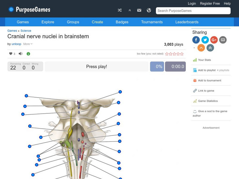 Purpose Games: Cranial Nerve Nuclei in Brainstem Interactive