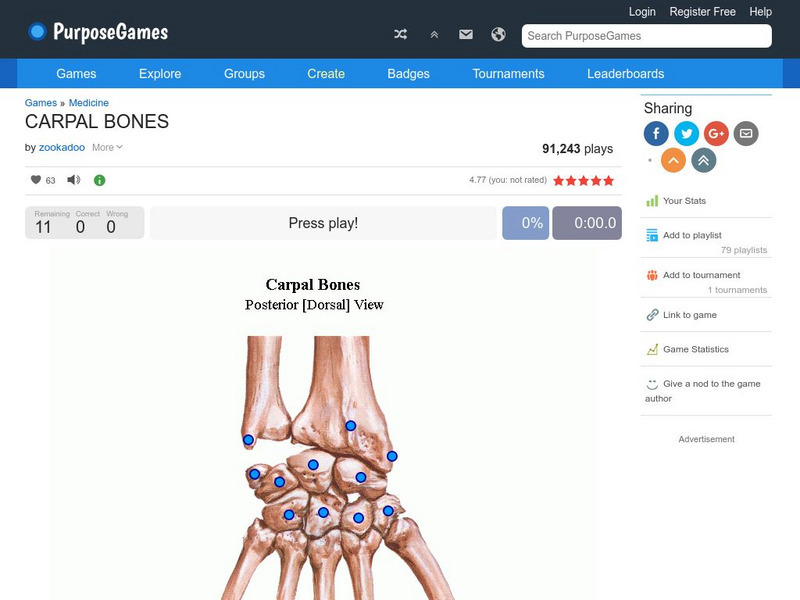 Purpose Games: Carpal Bones Interactive