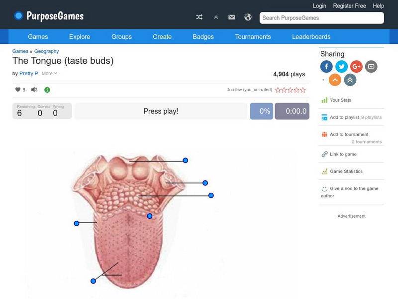 Purpose Games: The Tongue (Taste Buds) Interactive