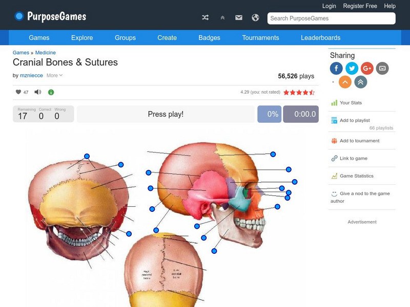 Purpose Games: Cranial Bones & Sutures Interactive