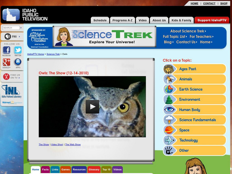 Idaho Public Tv: Owl Facts Website Idaho Public Tv: Owl Facts Website