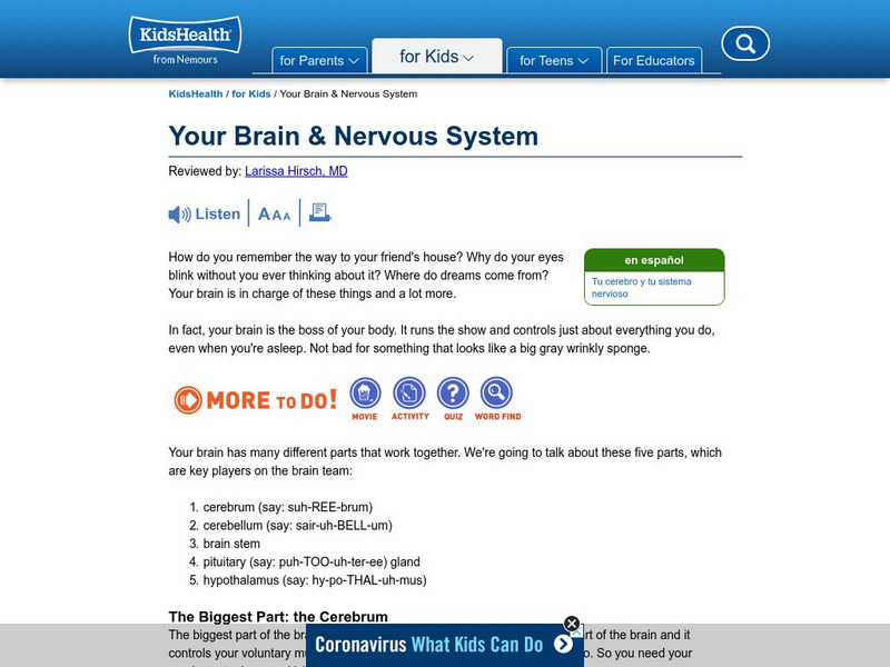 Kids Health: The Brain Is the Boss Handout Kids Health: The Brain Is the Boss Handout