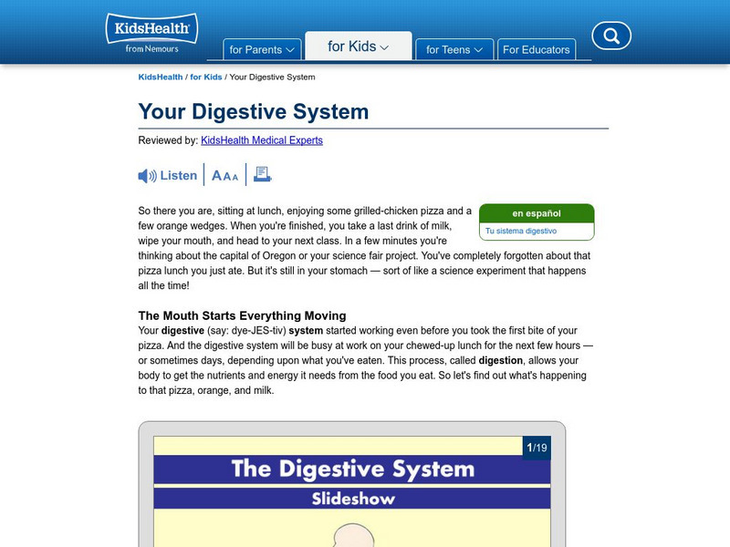 Kids Health: Your Digestive System Interactive Kids Health: Your Digestive System Interactive