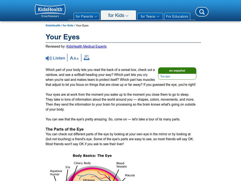 Kids Health: A Big Look at the Eye Activity Kids Health: A Big Look at the Eye Activity