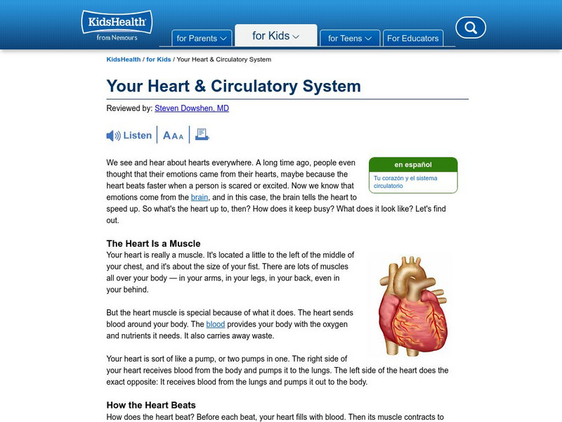 Kids Health: All About the Heart Handout Kids Health: All About the Heart Handout