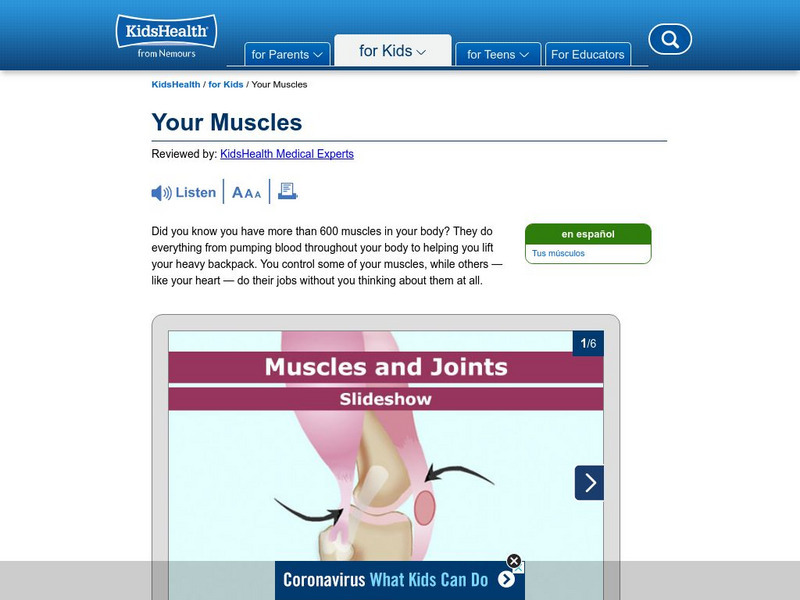 Kids Health: Your Multi Talented Muscles Handout Kids Health: Your Multi Talented Muscles Handout