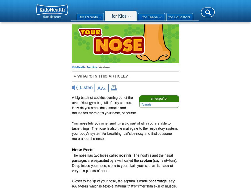 Kids Health: How the Body Works: Your Nose Handout Kids Health: How the Body Works: Your Nose Handout