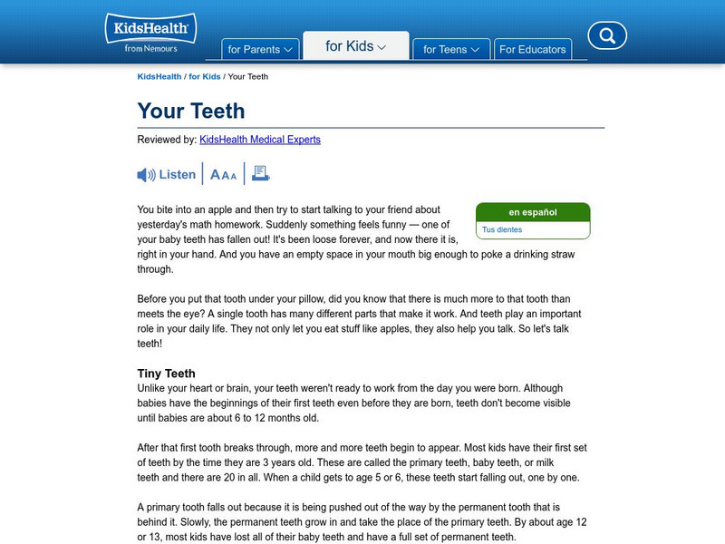 Kids Health: Your Teeth Website Kids Health: Your Teeth Website