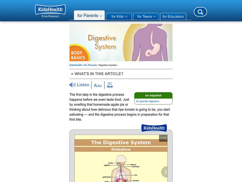Kids Health: Digestive System Handout Kids Health: Digestive System Handout