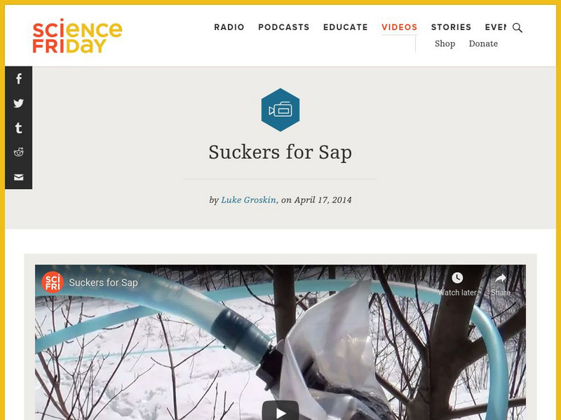 Science Friday: Suckers for Sap Instructional Video Science Friday: Suckers for Sap Instructional Video