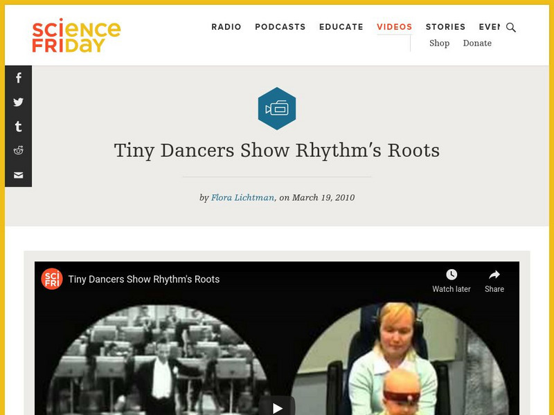 Science Friday: Tiny Dancers Show Rhythm's Roots Instructional Video Science Friday: Tiny Dancers Show Rhythm's Roots Instructional Video