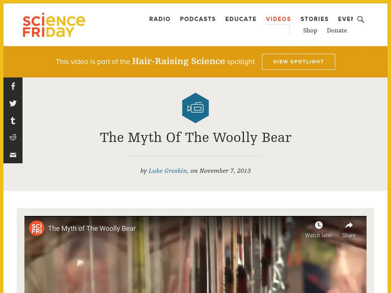 Science Friday: The Myth of the Woolly Bear Instructional Video Science Friday: The Myth of the Woolly Bear Instructional Video