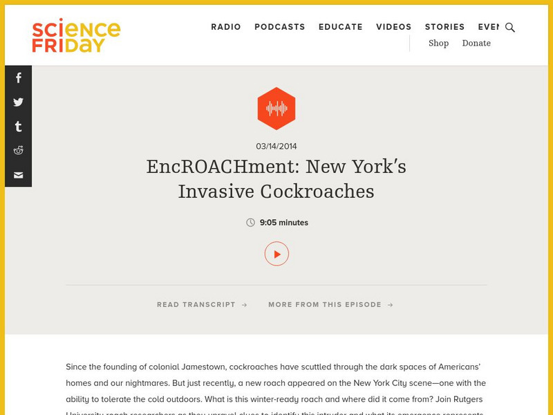 Science Friday: Enc Roac Hment: New York City's Invasive Roaches Audio Science Friday: Enc Roac Hment: New York City's Invasive Roaches Audio