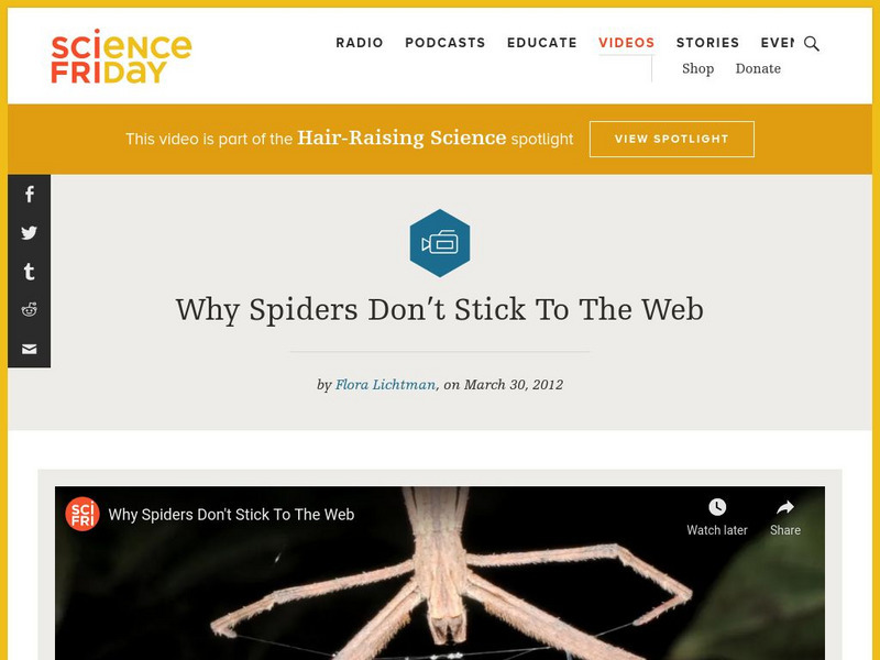 Science Friday: Why Spiders Don't Stick to the Web Instructional Video Science Friday: Why Spiders Don't Stick to the Web Instructional Video