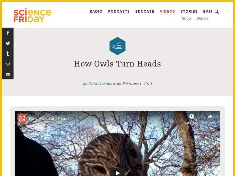 Science Friday: How Owls Turn Heads Instructional Video Science Friday: How Owls Turn Heads Instructional Video