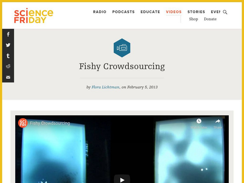 Science Friday: Fishy Crowdsourcing Instructional Video Science Friday: Fishy Crowdsourcing Instructional Video