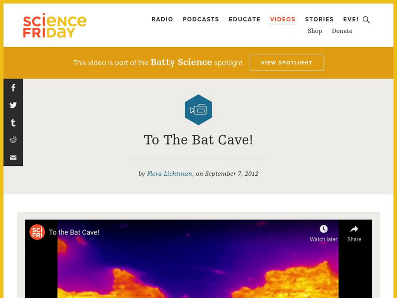 Science Friday: To the Bat Cave! Instructional Video Science Friday: To the Bat Cave! Instructional Video